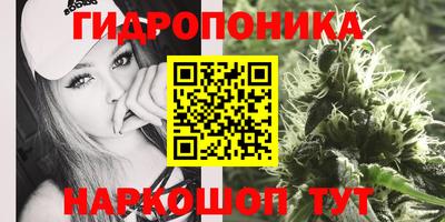 ПСИЛОЦИБИНОВЫЕ ГРИБЫ Бердск
