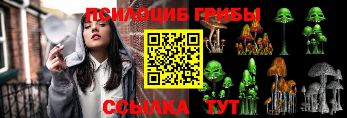 Галлюциногенные грибы Magic Shrooms  Вход с VPN  магазин продажи   Выкса 